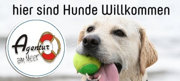 Agenturhund